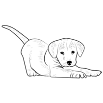 Labrador Puppy Outline Sticker 