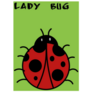 Lady Bug At Green Background Sticker