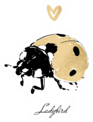 Ladybird Gold Sticker