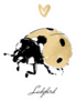 Ladybird Gold Sticker