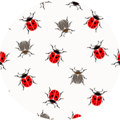 Ladybug, Beetles Seamless Pattern Sticker