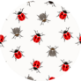 Ladybug, Beetles Seamless Pattern Sticker