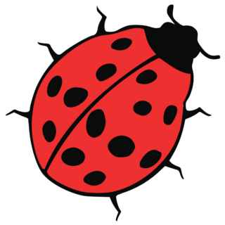 Ladybug Crawling on Ground Sticker