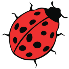 Ladybug Crawling on Ground Sticker