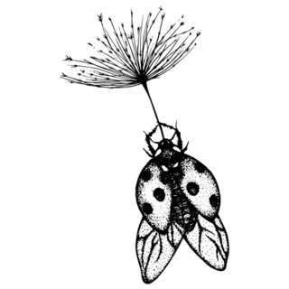 Ladybug Floating With A Dandelion Sticker