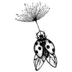 Ladybug Floating With A Dandelion Sticker