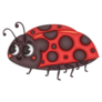 Ladybug Illustration Sticker