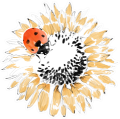 Ladybug On Sunflower Watercolor Sticker