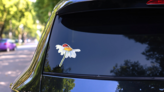 Ladybug Sitting On White Camomile Flower Sticker on a Rear Car Window (New) example