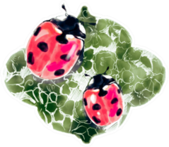 Ladybug Watercolor Sketch Sticker
