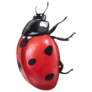 Ladybug Watercolor Sticker