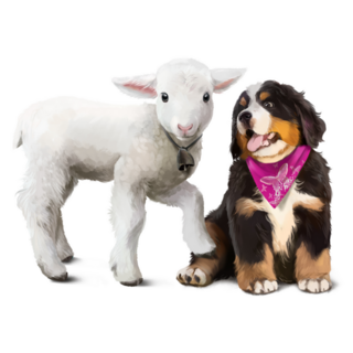 Lamb And Bernese Pup Sticker