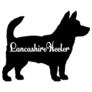 Lancashire Heeler Sticker