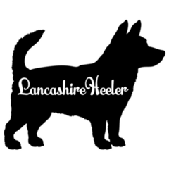 Lancashire Heeler Sticker