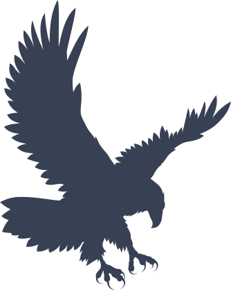 Landing Eagle Sticker