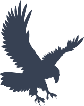 Landing Eagle Sticker