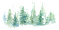 Landscape Of Foggy Forest Wild Nature, Frozen, Misty, Sticker