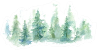 Landscape Of Foggy Forest Wild Nature, Frozen, Misty, Sticker
