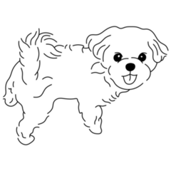 Lapdog Maltese Sticker