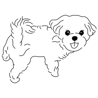 Lapdog Maltese Sticker