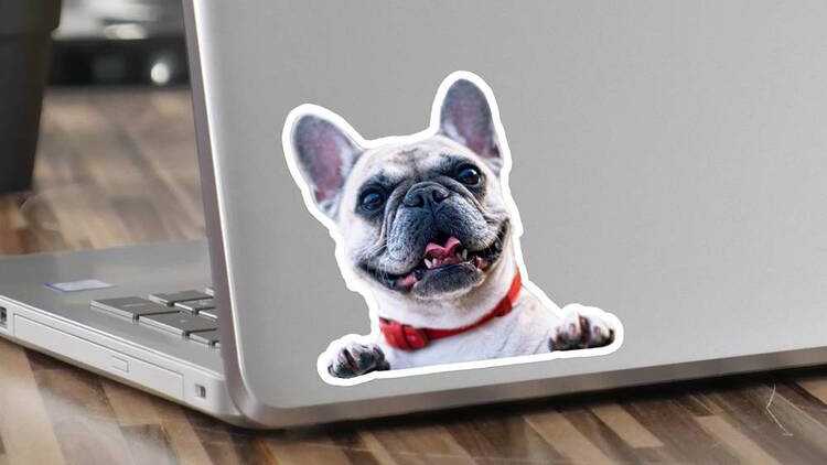 Laptop Dog Photo Sticker