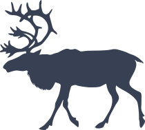 Large Buck Sticker