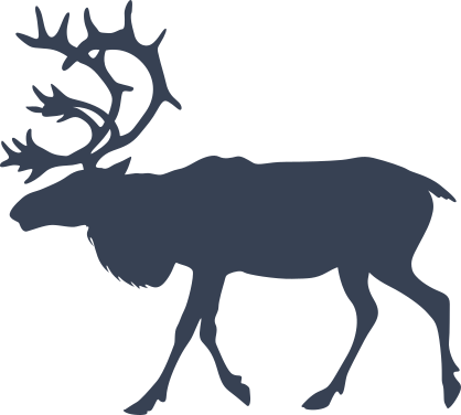 Large Buck Sticker