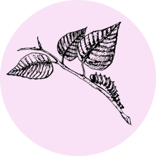 Large Caterpillar Crawling On Branch Doodle Pink Sticker