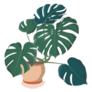 Large Leaf Tropical Monstera Indoor House Plant Sticker