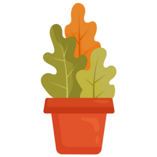 Large-leaved House Plant Sticker