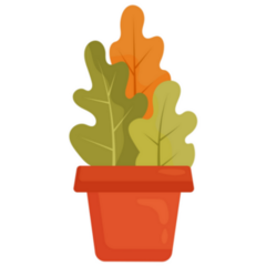 Large-leaved House Plant Sticker