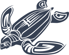 Large Sea Turtle Sticker