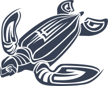 Large Sea Turtle Sticker