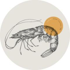 Large Shrimp On Grey Sticker