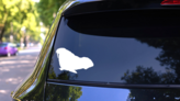Large Walrus Facing Left Sticker on a Rear Car Window (New) example