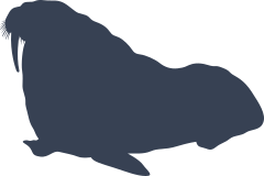 Large Walrus Facing Left Sticker