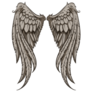 Large Wings Illustration Sticker