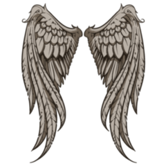 Large Wings Illustration Sticker