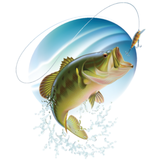 Largemouth Bass Fish Catching Bait And Jumping Sticker