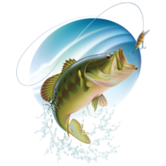 Largemouth Bass Fish Catching Bait And Jumping Sticker