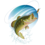 Largemouth Bass Fish Catching Bait And Jumping Sticker
