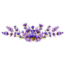 Lavender Arrangement Sticker