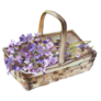 Lavender Basket Sticker
