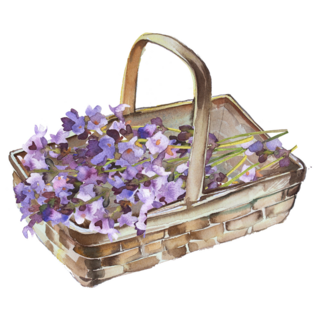Lavender Basket Sticker