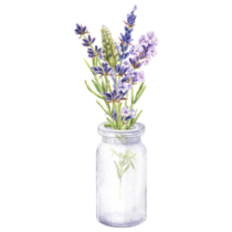Lavender Botanical Sticker