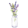 Lavender Botanical Sticker