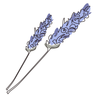 Lavender Branches Sticker