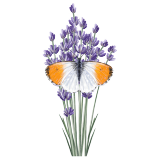 Lavender & Butterfly Sticker