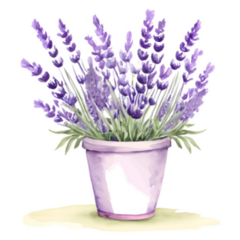Lavender Can Sticker
