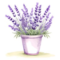 Lavender Can Sticker